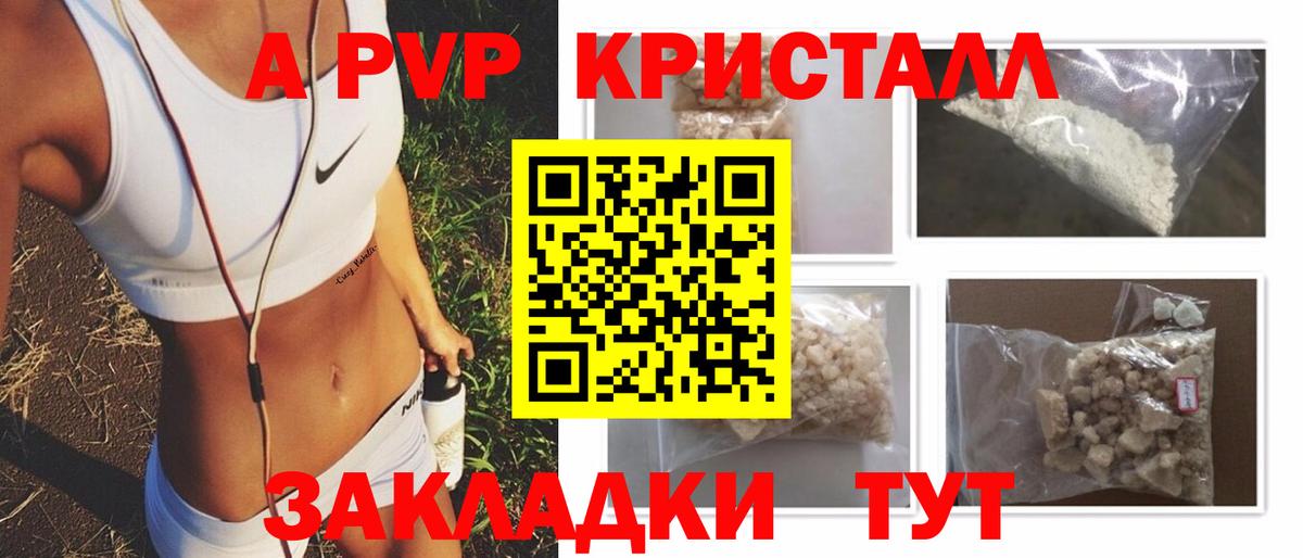 Alfa_PVP СК КРИС Балтийск