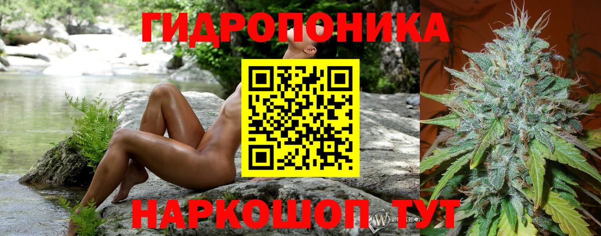 Бошки Шишки MAZAR Балтийск